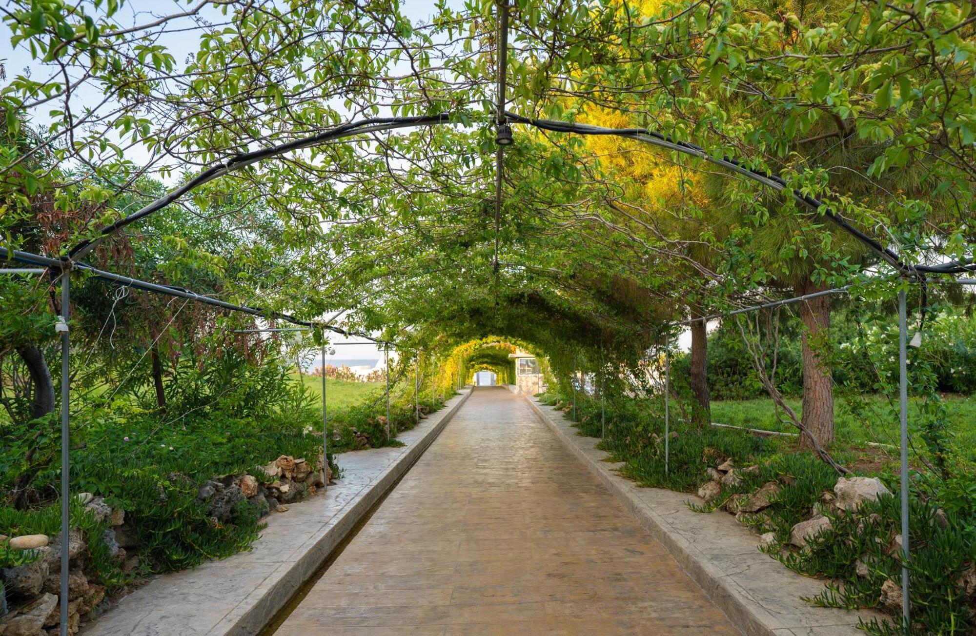 Master Family Club Hotel Manavgat Exterior foto